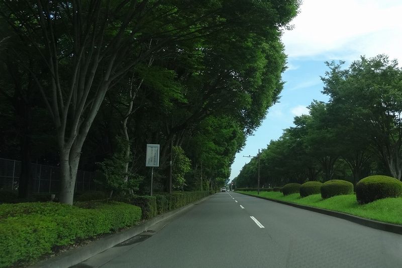 イメージ 2