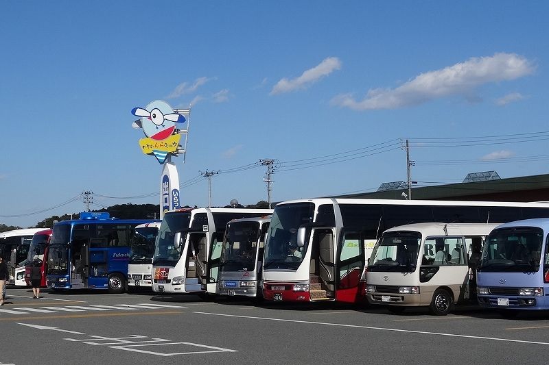 イメージ 8