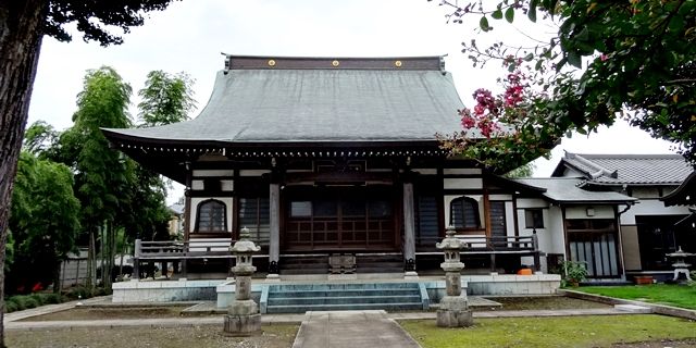 イメージ 5