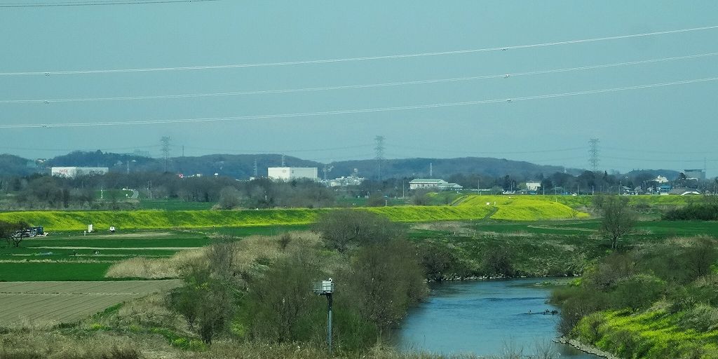 イメージ 3