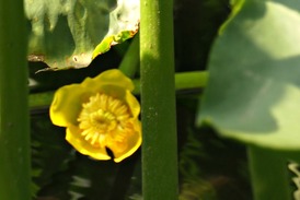 P1009428