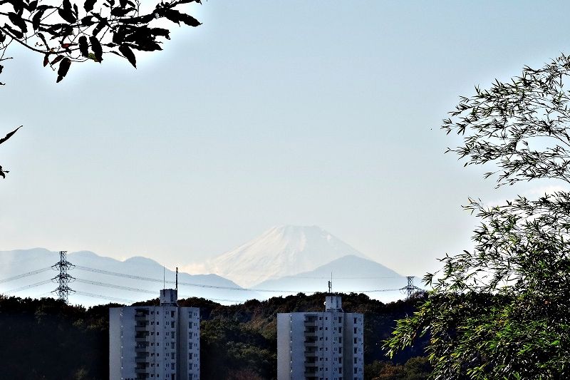 イメージ 11