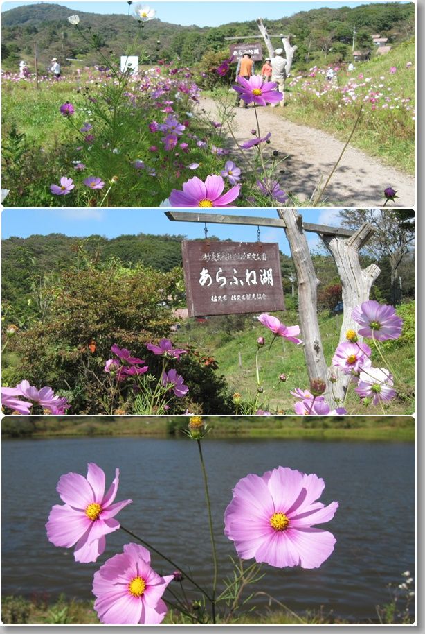 イメージ 1