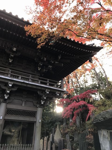イメージ 11