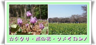 イメージ 12
