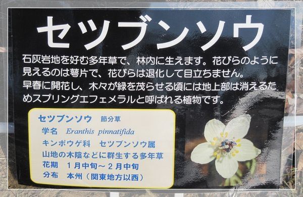 イメージ 6