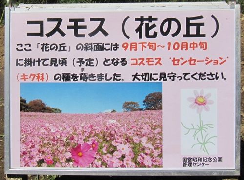 イメージ 11