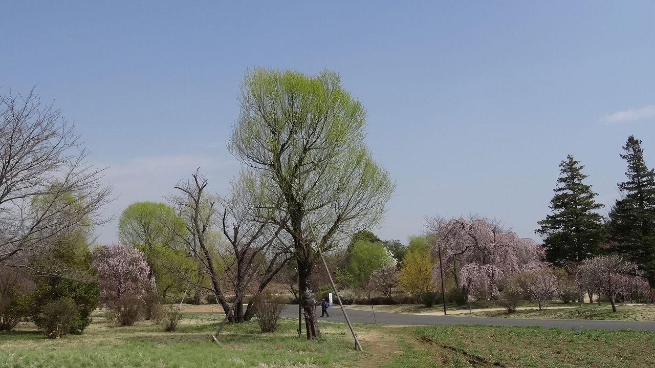 イメージ 15