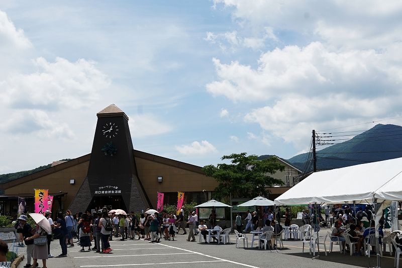 イメージ 7