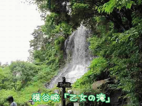 イメージ 8
