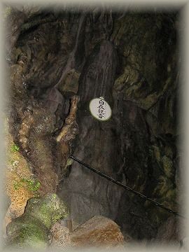 イメージ 11