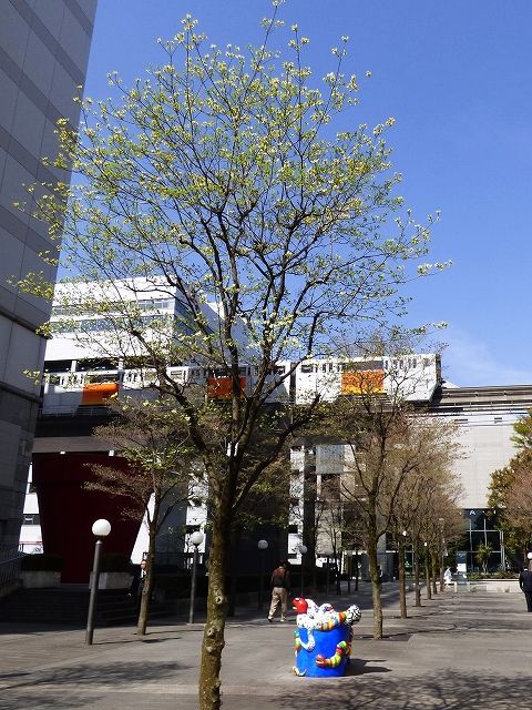 イメージ 7