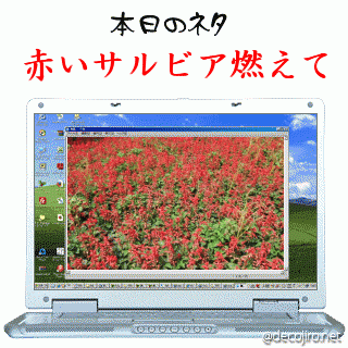 イメージ 9