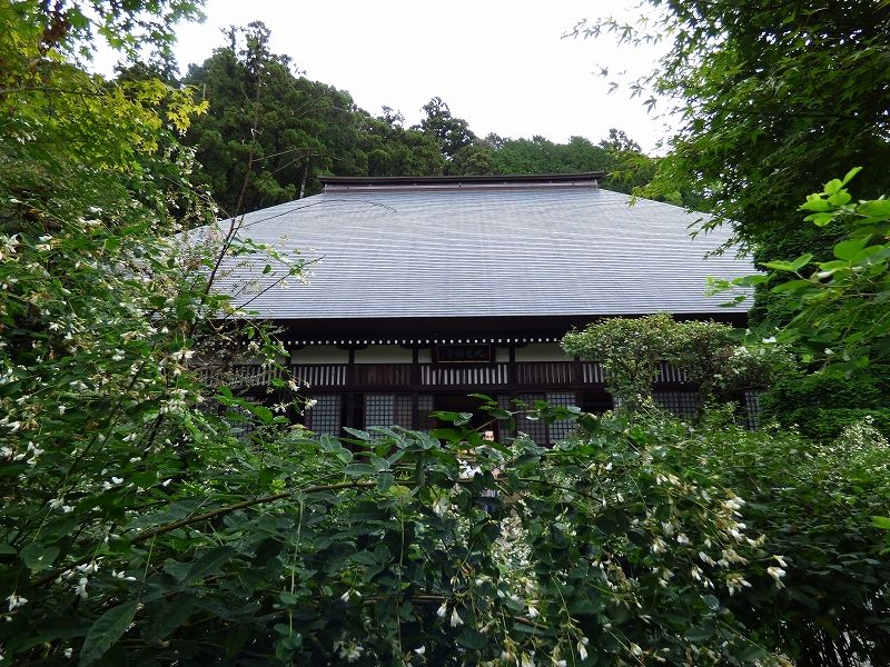イメージ 3