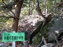 イメージ 21