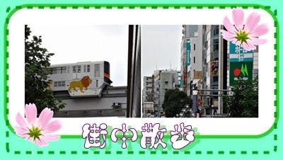 イメージ 11