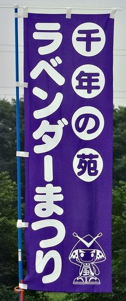 イメージ 15