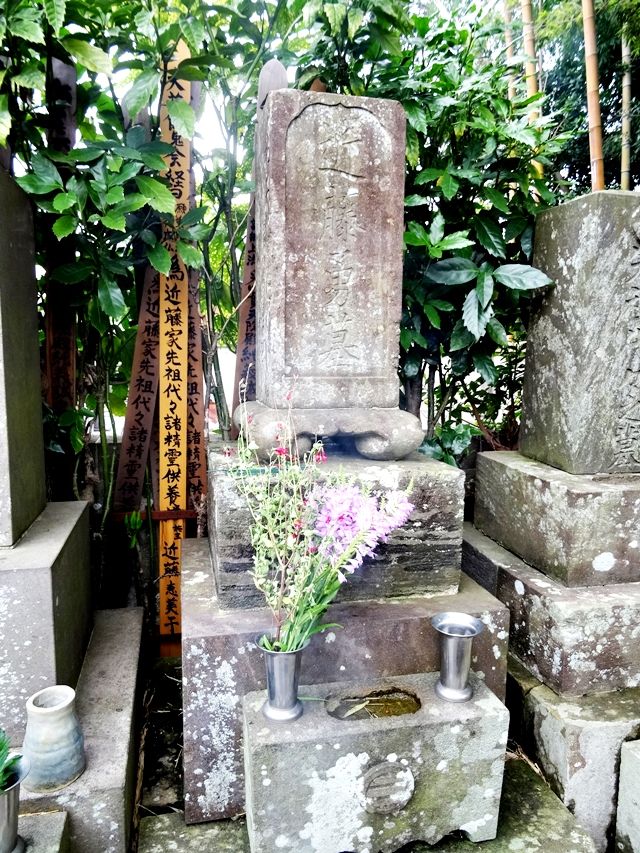 イメージ 9