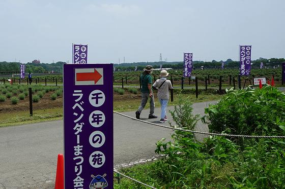 DSC09761