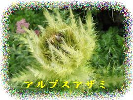 イメージ 24