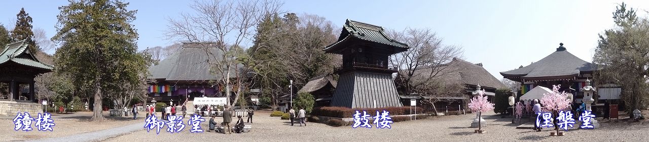 イメージ 8