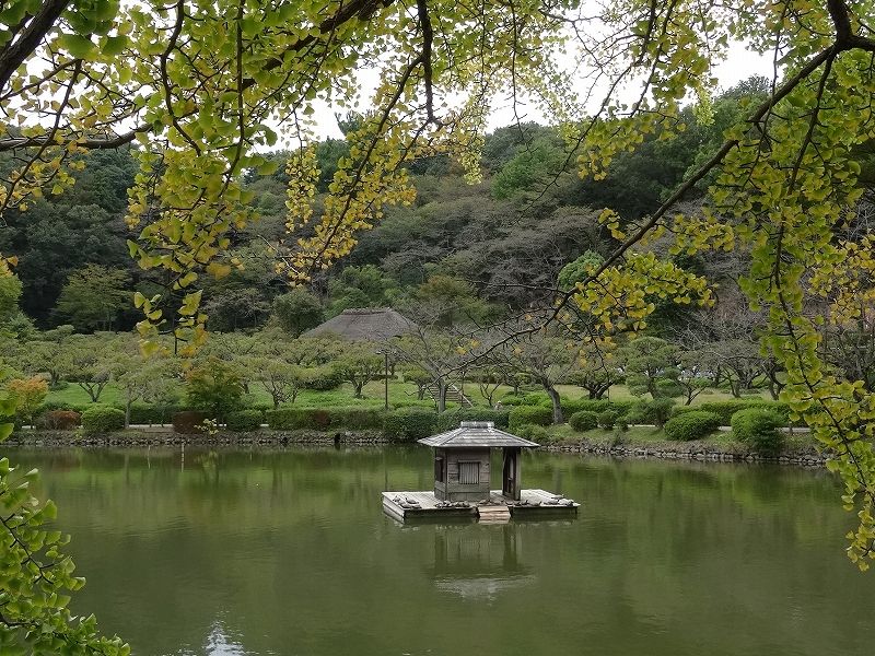 イメージ 8