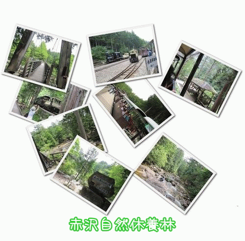 イメージ 8