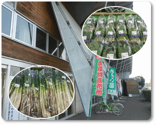 イメージ 4