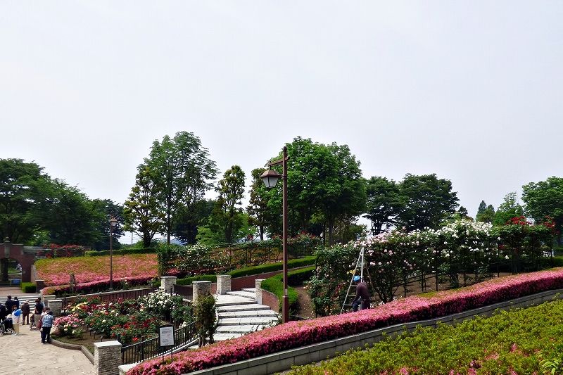イメージ 13