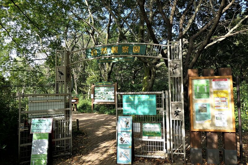 都立野川自然観察園 気ままな観光 都立野川自然観察園 気ままな観光
