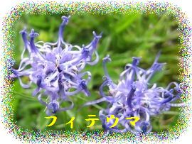 イメージ 33