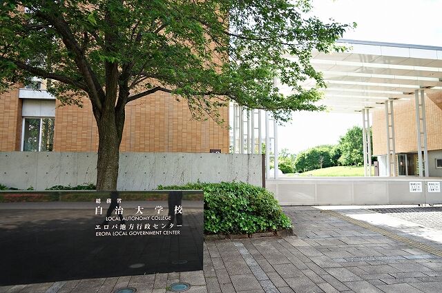 ユリノキの花 気ままな観光 ユリノキの花 気ままな観光