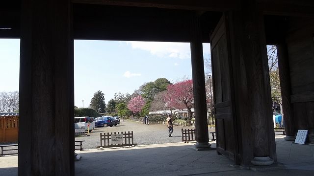 イメージ 8
