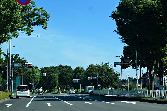 P1050568