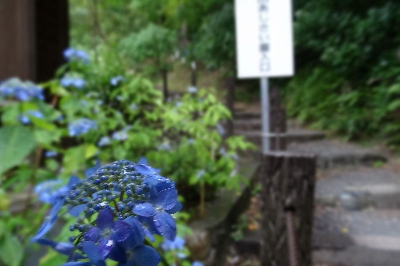 イメージ 14
