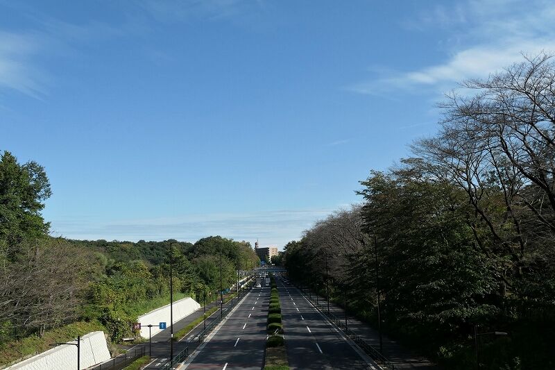 都立野川自然観察園 気ままな観光 都立野川自然観察園 気ままな観光