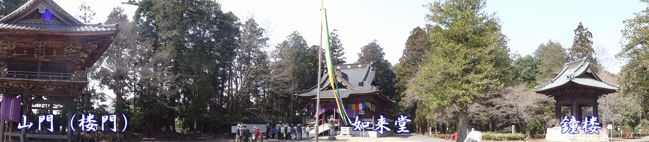 イメージ 7