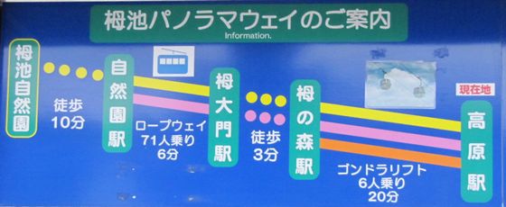 イメージ 5