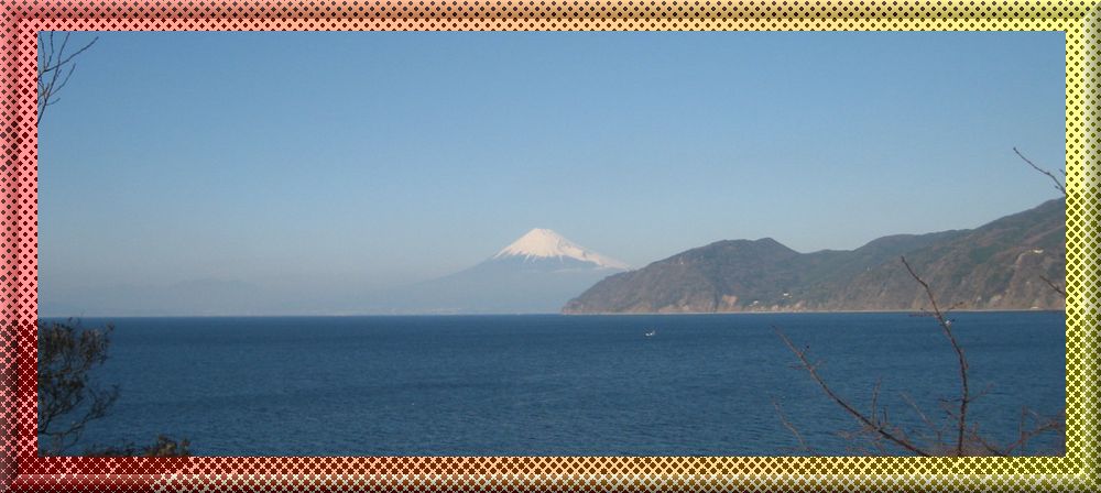 イメージ 5