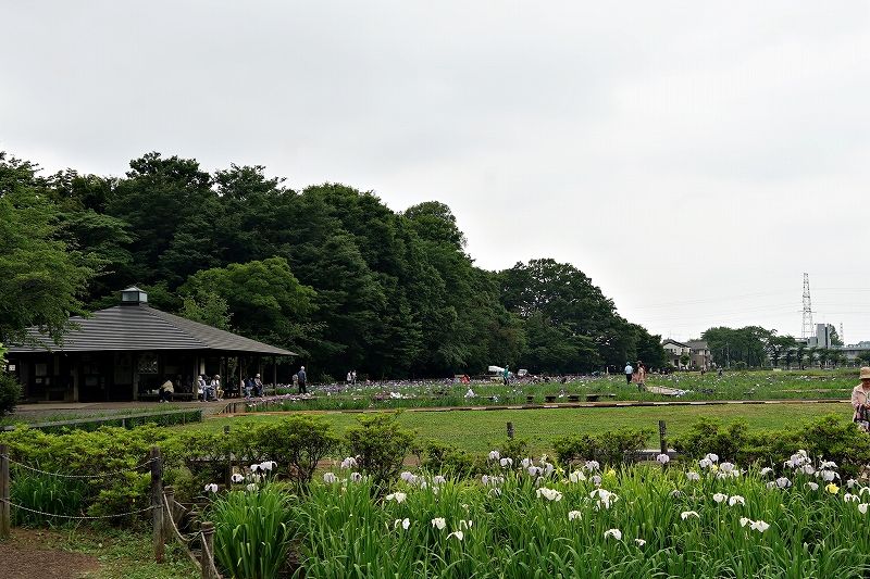 イメージ 12