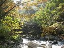 イメージ 15
