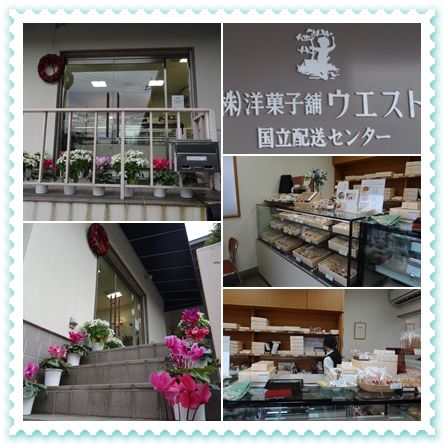 イメージ 7