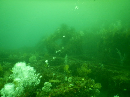 DSCN3146