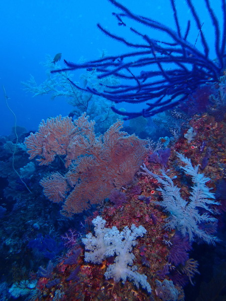 P1167801