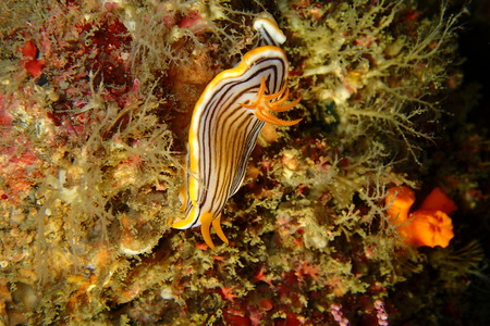 PC164166