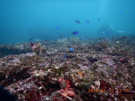 DSCN1700