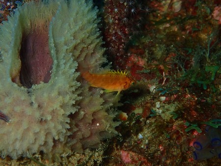 PB050149