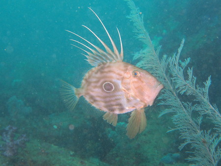 P1160008