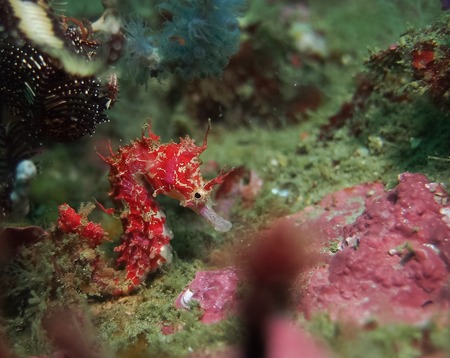 写真 2016-11-19 10 35 55