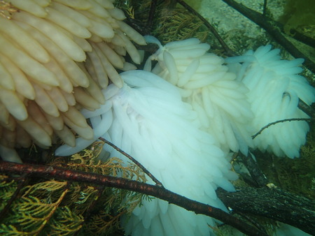P5280356